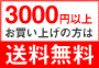 3000~ȏエ͑̕